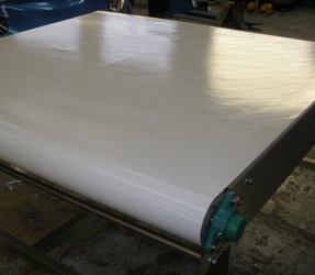 large white belt conveyor belt